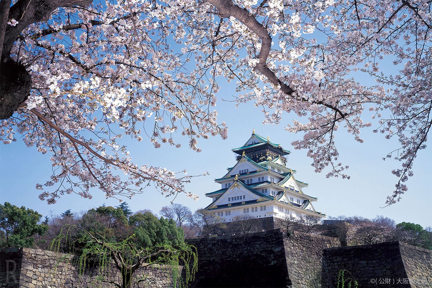 チェックアウト後は大阪城公園へ