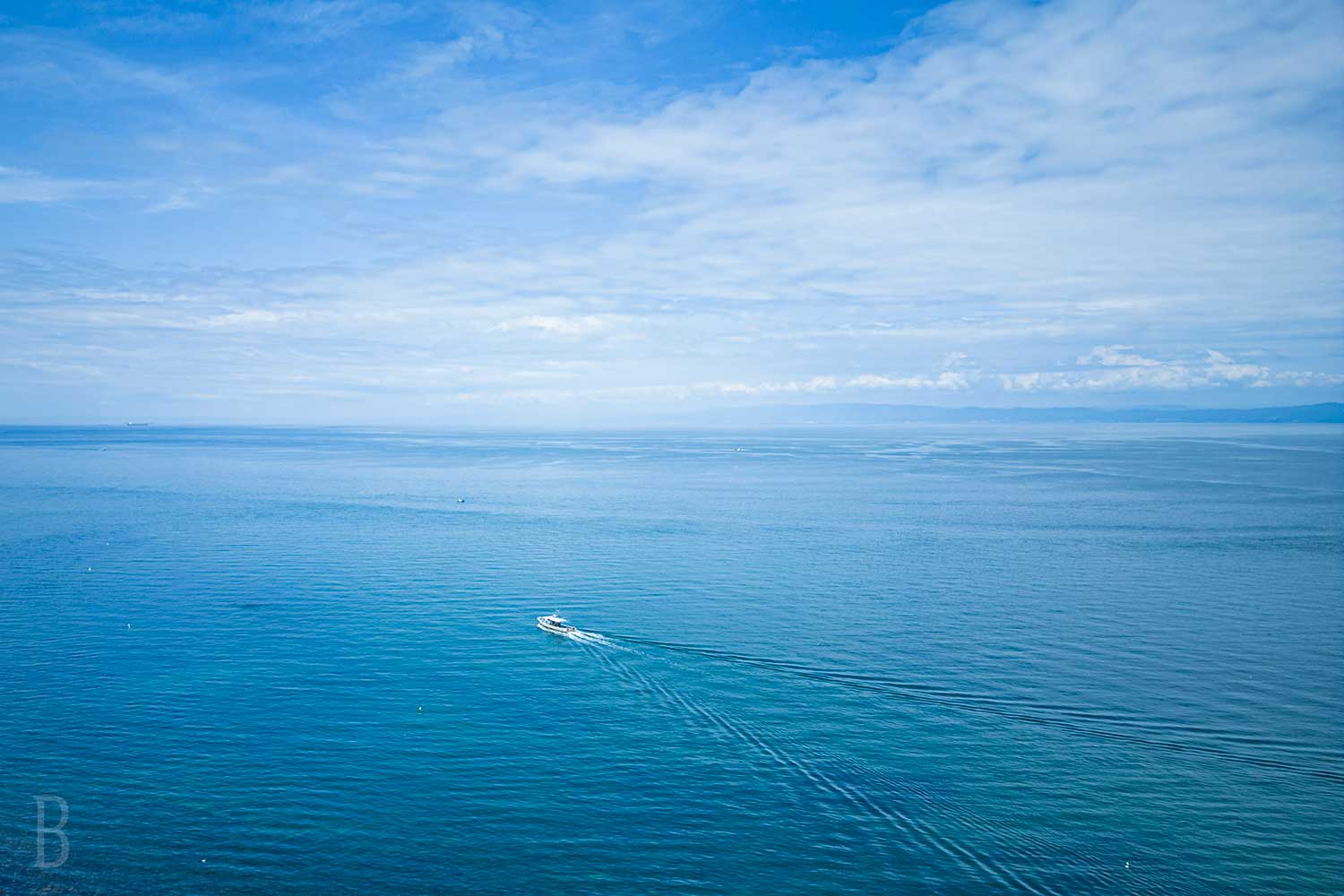海