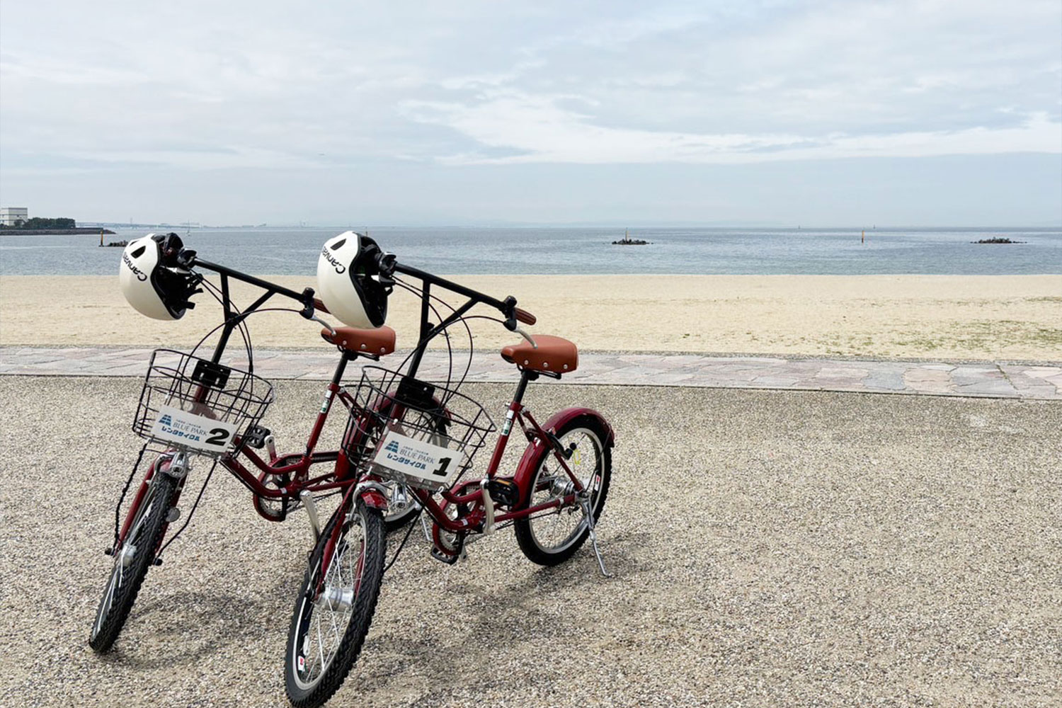 多彩なマリンスポーツや海遊びが楽しめる