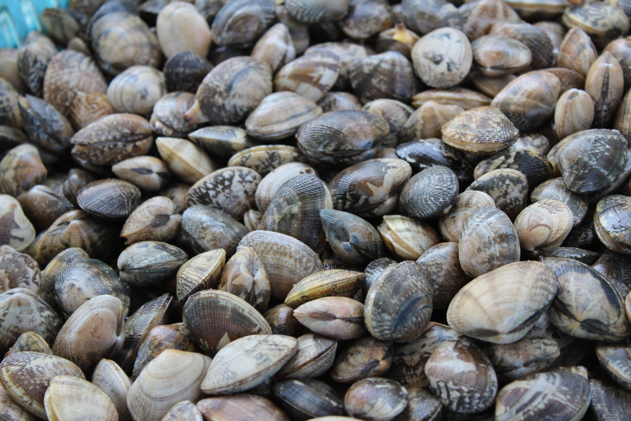 燻製体験イメージ