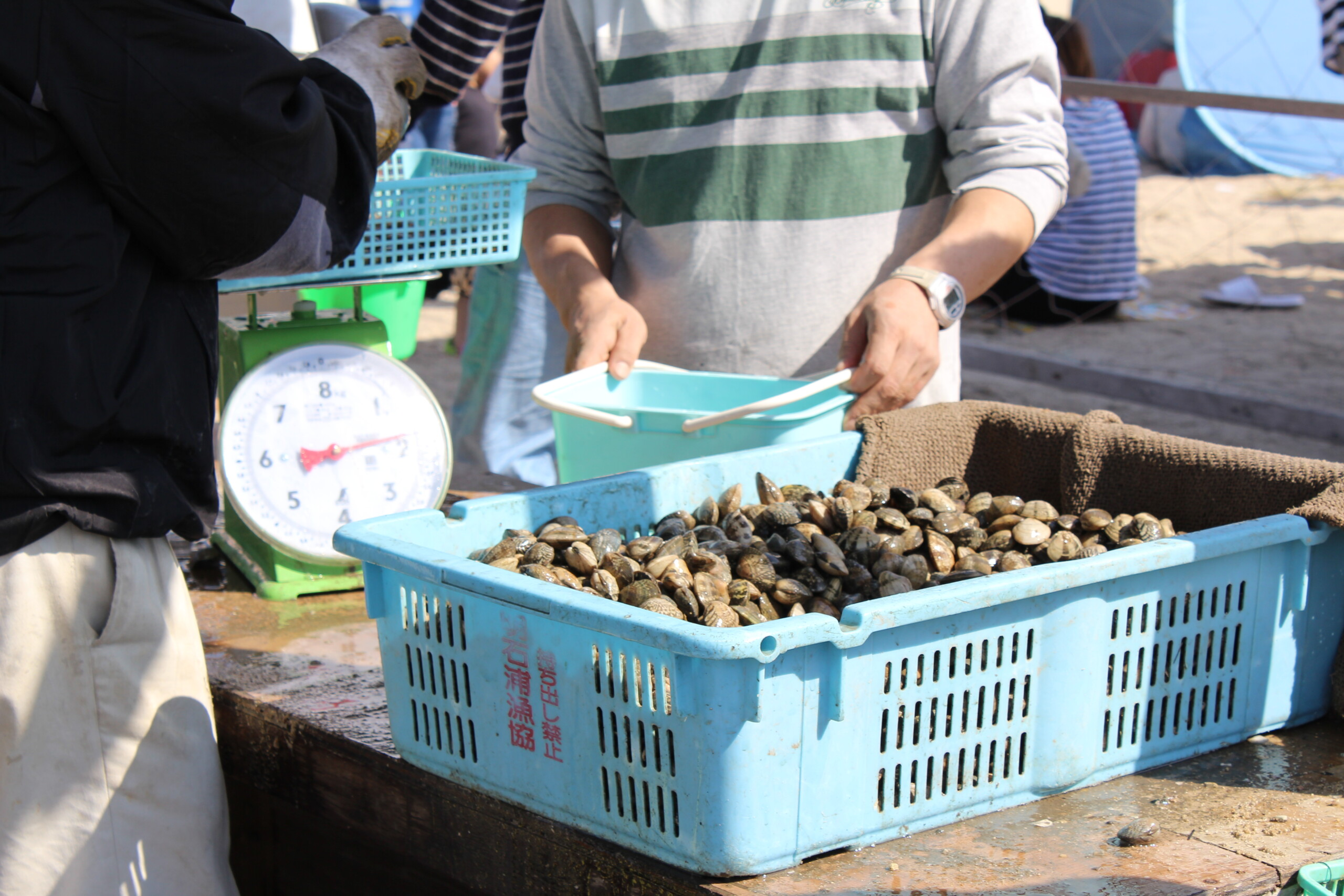 燻製とBBQイメージ